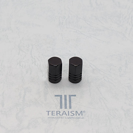 TA-01(ブラック) × 2