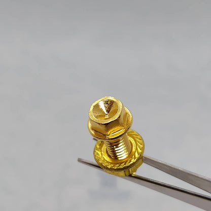 M6-20mm 2組｜金メッキ ボルト・ナットセット(B仕様) - 2